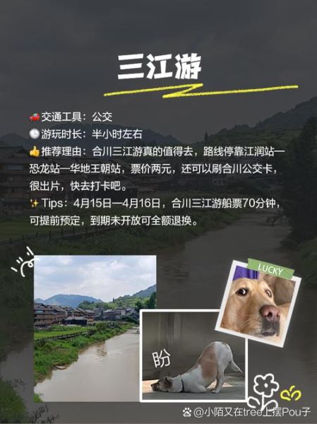 合川 非物质文化遗产(合川非物质文化遗产旅游指南)-第3张图片-八三百科 合川 非物质文化遗产(合川非物质文化遗产旅游指南)-第3张图片-八三百科