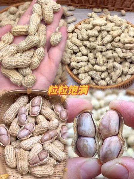 花生非物质文化遗产（花生非物质文化遗产是真的吗？）-第1张图片-八三百科