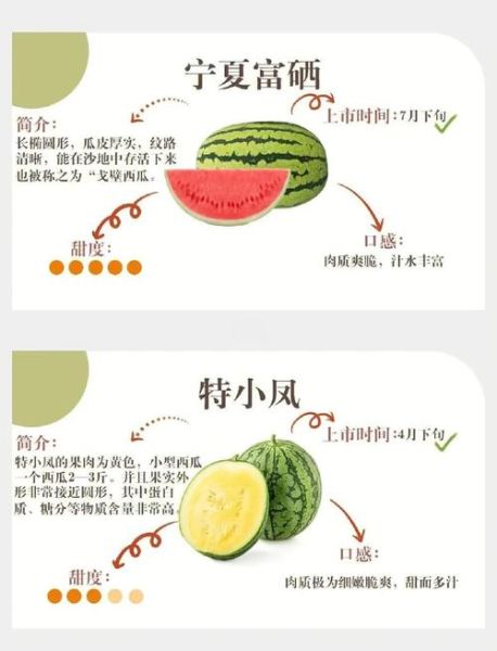 非物质文化遗产西瓜(西瓜雕刻非遗技艺入门指南)-第2张图片-八三百科 非物质文化遗产西瓜(西瓜雕刻非遗技艺入门指南)-第2张图片-八三百科