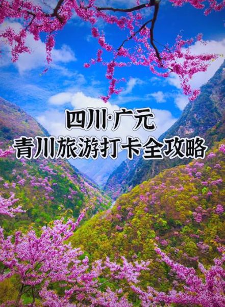 青川非物质文化遗产（青川非遗体验攻略）-第3张图片-八三百科