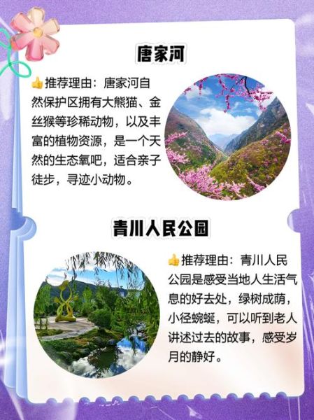 青川非物质文化遗产（青川非遗体验攻略）-第2张图片-八三百科