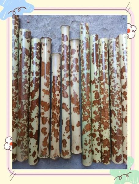 湘妃竹非物质文化遗产(湘妃竹非遗技艺入门指南)-第2张图片-八三百科 湘妃竹非物质文化遗产(湘妃竹非遗技艺入门指南)-第2张图片-八三百科