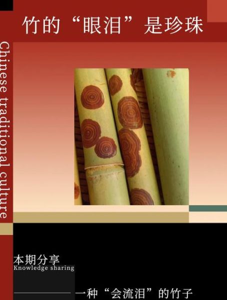 湘妃竹非物质文化遗产(湘妃竹非遗技艺入门指南)-第3张图片-八三百科 湘妃竹非物质文化遗产(湘妃竹非遗技艺入门指南)-第3张图片-八三百科