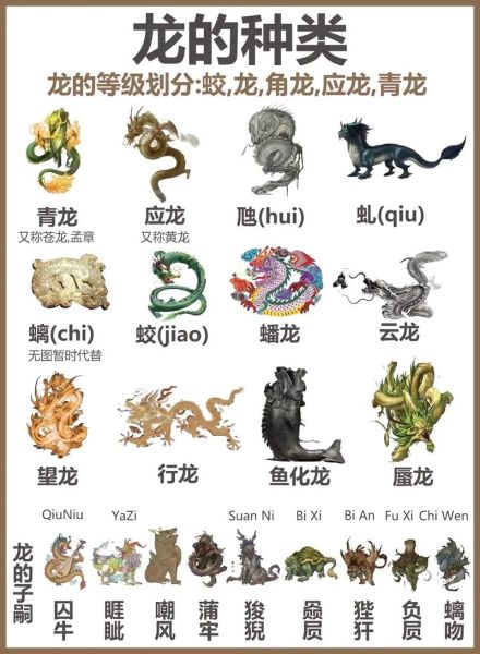 非物质文化遗产青龙(青龙非物质文化遗产生动入门)-第2张图片-八三百科 非物质文化遗产青龙(青龙非物质文化遗产生动入门)-第2张图片-八三百科