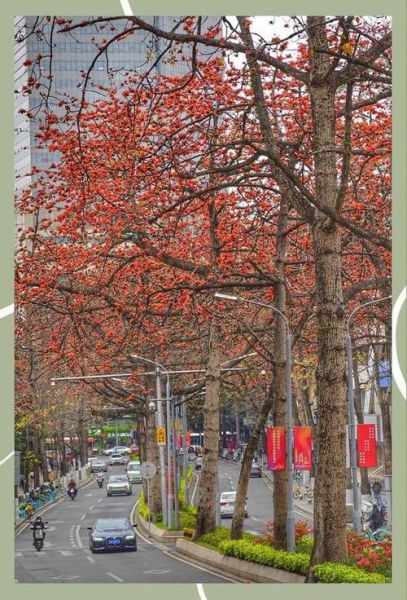 木棉非物质文化遗产（木棉非遗手工技艺初学者指南）-第1张图片-八三百科