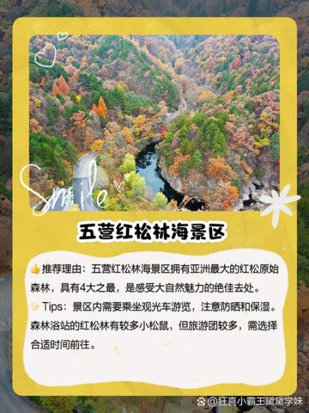 伊春非遗物质文化遗产(伊春非遗研学旅行最佳线路推荐)-第3张图片-八三百科 伊春非遗物质文化遗产(伊春非遗研学旅行最佳线路推荐)-第3张图片-八三百科