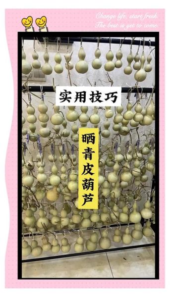 宝葫芦非物质文化遗产（宝葫芦非遗手工入门教程）-第3张图片-八三百科
