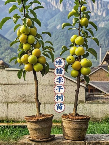 李树果 非物质文化遗产（李树果非遗技艺在哪里可以体验）-第1张图片-八三百科