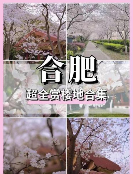 合肥非物质文化遗产园樱花节（合肥非遗园樱花节门票多少钱2025）-第2张图片-八三百科