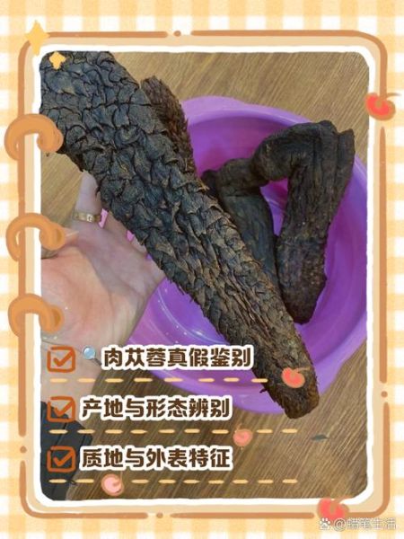 苁蓉非物质文化遗产（苁蓉非遗技艺如何传承）-第1张图片-八三百科