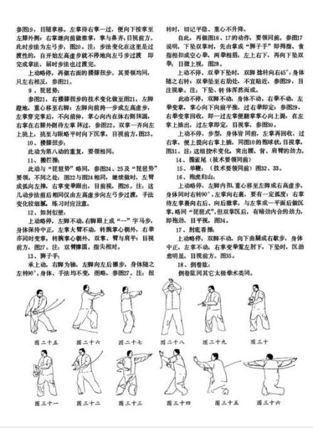 武当非物质文化遗产（武当非遗太极拳入门指南）-第1张图片-八三百科