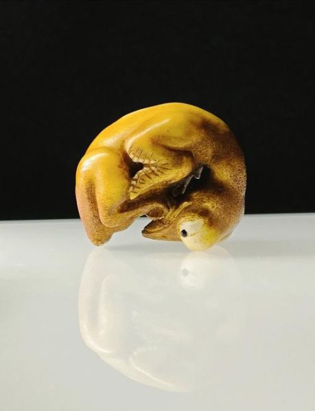 骨非物质文化遗产(骨雕非遗技艺怎么学从哪里入门)-第2张图片-八三百科 骨非物质文化遗产(骨雕非遗技艺怎么学从哪里入门)-第2张图片-八三百科