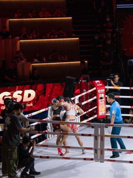 泰拳非物质文化遗产(泰拳非遗传承多久了)-第2张图片-八三百科 泰拳非物质文化遗产(泰拳非遗传承多久了)-第2张图片-八三百科