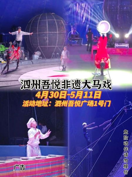 马戏非物质文化遗产（马戏非物质文化遗产传承人怎么考证）-第3张图片-八三百科