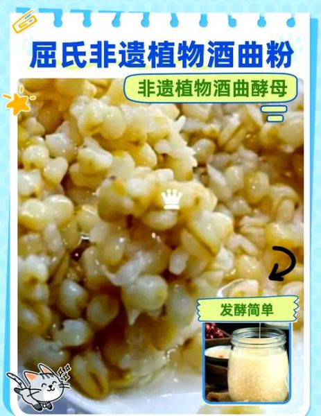 屈氏酒曲非物质文化遗产（屈氏酒曲申请非遗流程多久能过）-第1张图片-八三百科