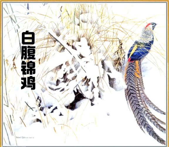 非物质文化遗产锦鸡（非物质文化遗产锦鸡是苗绣吗？）-第2张图片-八三百科