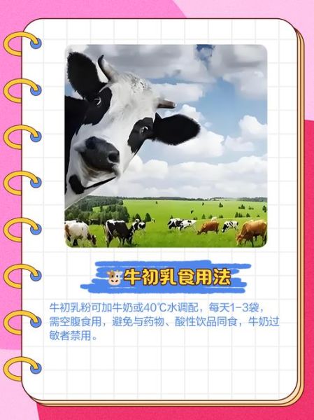 牛乳非物质文化遗产（牛乳非遗传承技艺有哪些秘诀）-第2张图片-八三百科