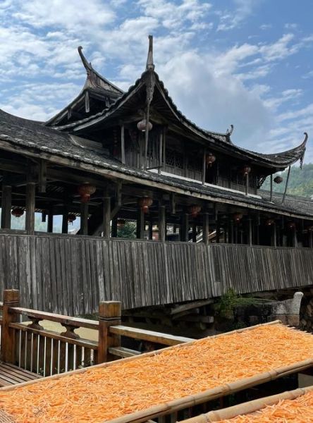 泰顺非物质文化遗产廊桥（泰顺非遗廊桥怎么参观最省心）-第2张图片-八三百科