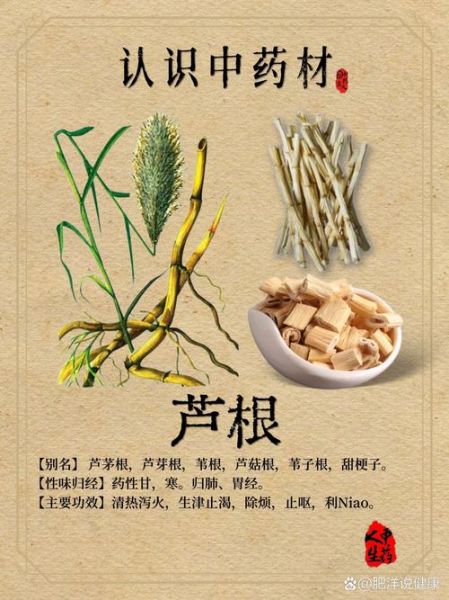 中国非物质文化遗产草药(中国非物质文化遗产草药有哪些)-第1张图片-八三百科 中国非物质文化遗产草药(中国非物质文化遗产草药有哪些)-第1张图片-八三百科