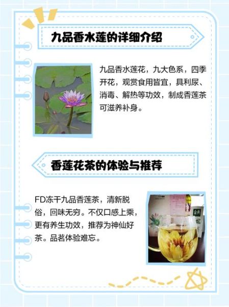 如皋非物质文化遗产莲香(如皋莲香怎么学?老艺人亲授零基础入门教程)-第1张图片-八三百科 如皋非物质文化遗产莲香(如皋莲香怎么学?老艺人亲授零基础入门教程)-第1张图片-八三百科