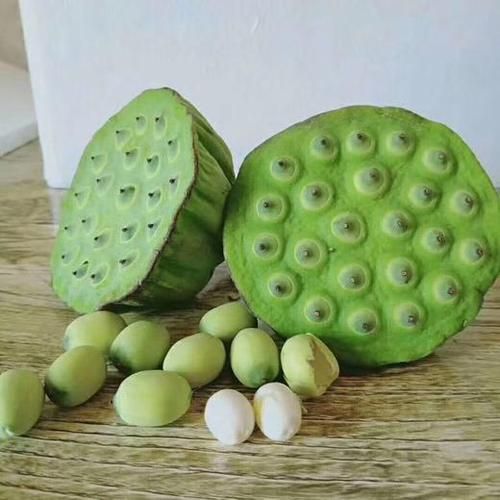 如皋非物质文化遗产莲香(如皋莲香怎么学?老艺人亲授零基础入门教程)-第2张图片-八三百科 如皋非物质文化遗产莲香(如皋莲香怎么学?老艺人亲授零基础入门教程)-第2张图片-八三百科