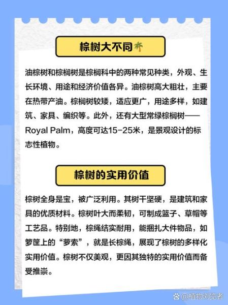 非物质文化遗产棕树（棕编非物质文化遗产的简单入门指南）-第3张图片-八三百科