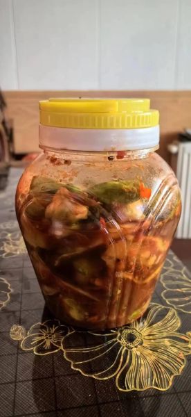 非物质文化遗产泡菜（非物质文化遗产泡菜怎么做才正宗）-第1张图片-八三百科