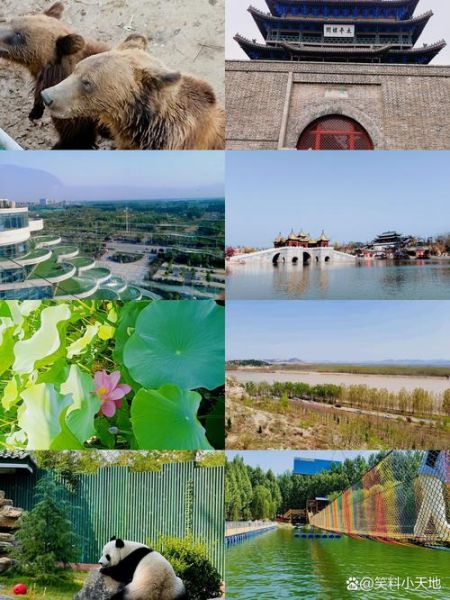 关于聊城非物质文化遗产(聊城最好的非遗景点一日游路线)-第3张图片-八三百科 关于聊城非物质文化遗产(聊城最好的非遗景点一日游路线)-第3张图片-八三百科